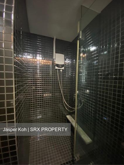 Skysuites@Anson (D2), Apartment #576492491